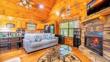 Televisión, chimenea y reproductor de DVD