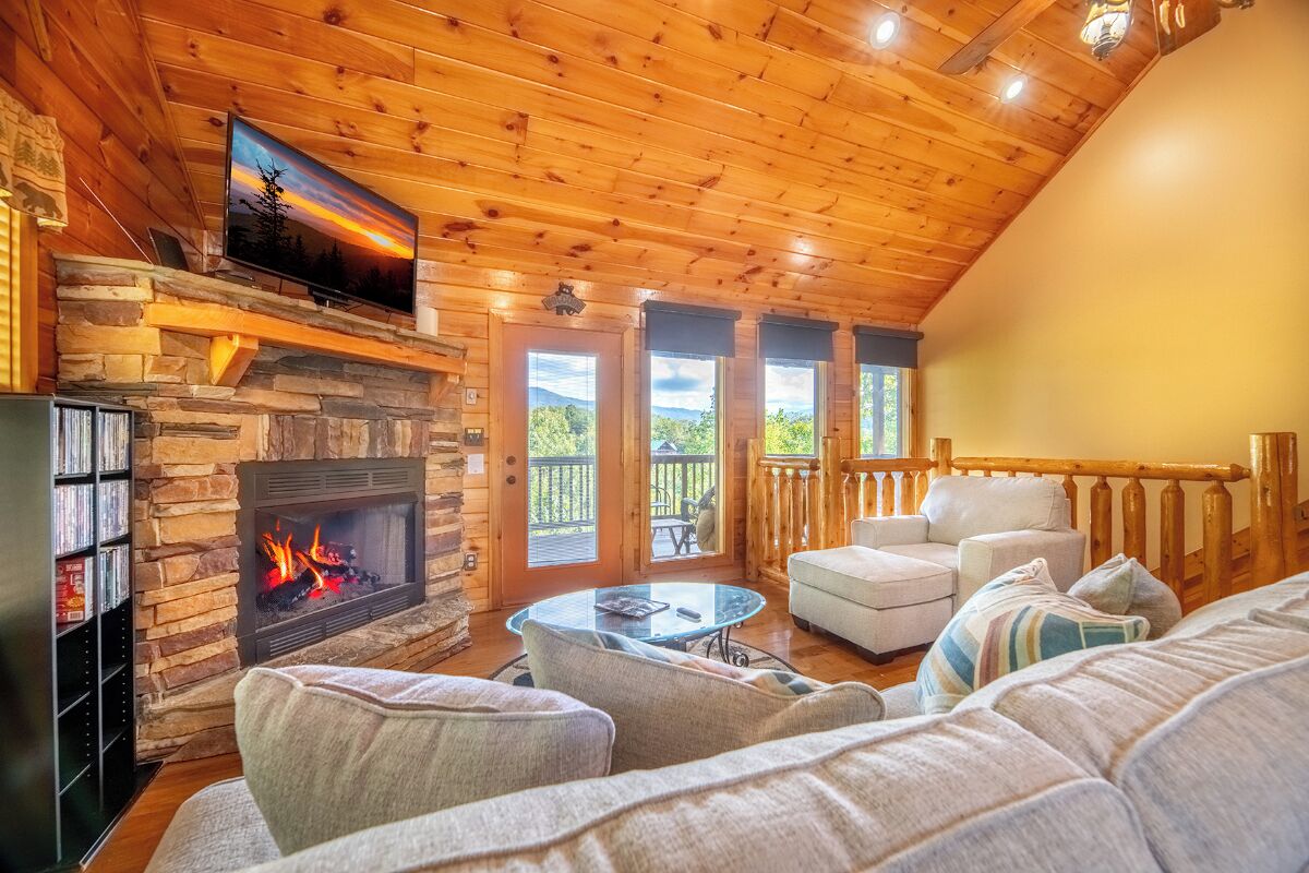 电视、壁炉、DVD 播放器