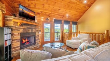 Televisión, chimenea y reproductor de DVD