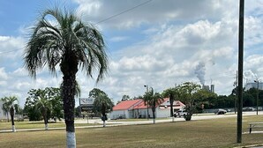 A grassy area with a palm tree, a building with a red roof, and a clear sky. - Motel Jesup (Jesup)