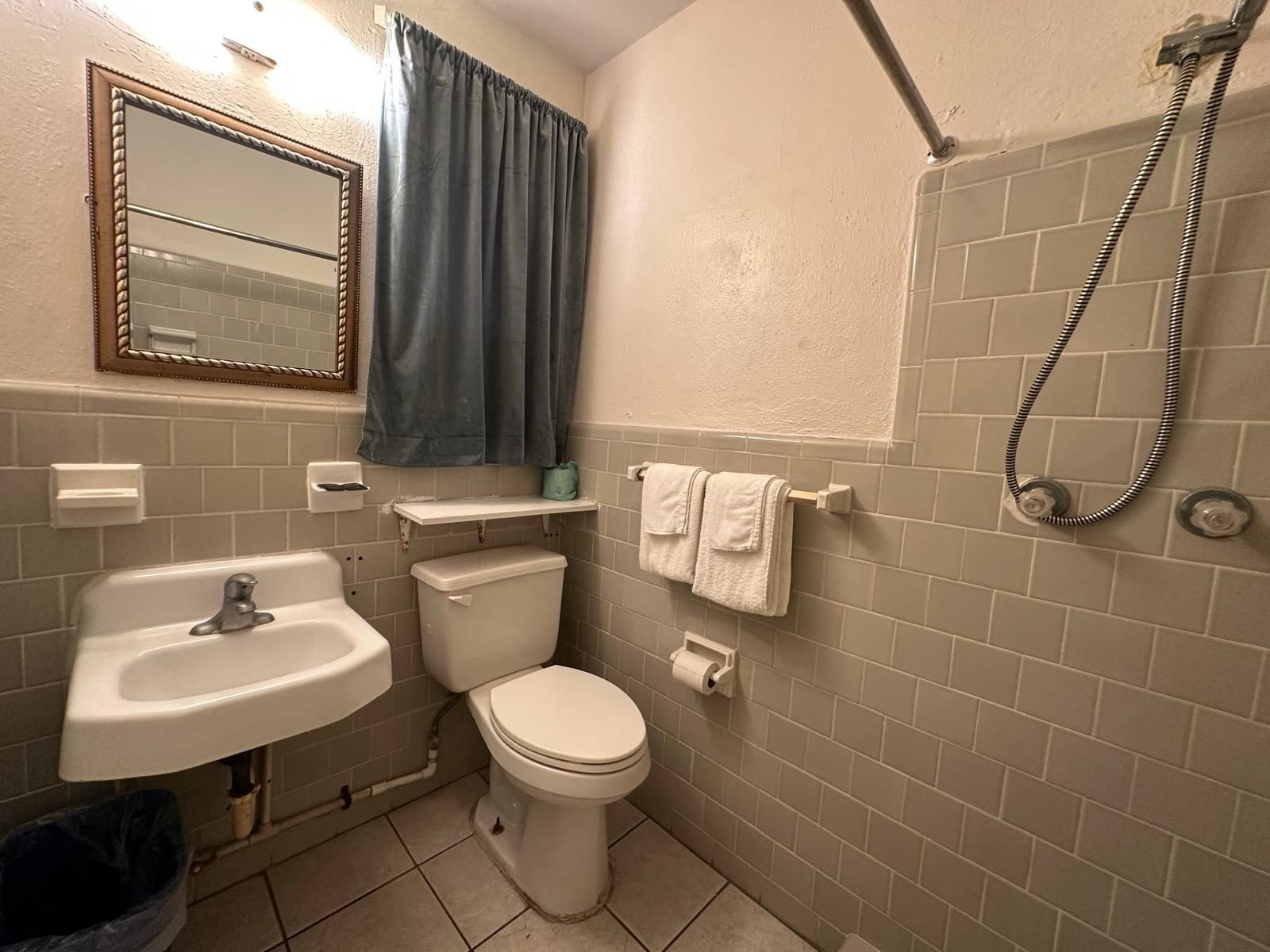 A bathroom with a sink, toilet, shower, and a mirror.
