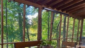Una mesa de comedor de madera con sillas, una planta en maceta y vistas a árboles a través de grandes ventanales.