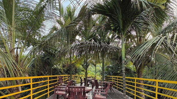 Una terraza de madera con diseño de cuadrícula, rodeada de barandillas amarillas y palmeras.