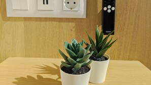 Een wandcontactdoos met afstandsbediening, twee potplanten en een houten oppervlak.