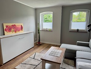 Televisio, takka, pöytätennispöytä