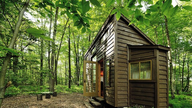 Una pequeña cabaña de madera en un bosque, con la puerta abierta, rodeada de árboles y suelo cubierto de hojas.