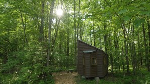 Una pequeña cabaña de madera en un área boscosa con un sendero de tierra que la lleva a ella.