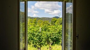 Une porte qui donne sur un vignoble, avec des rangées de vignes.