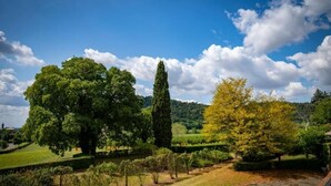 Un jardin aménagé, avec une grande variété d’arbres et un ciel d’un bleu éclatant.