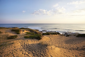 Playa
