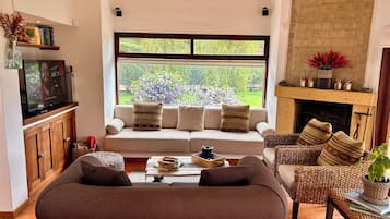 Smart TV, fireplace