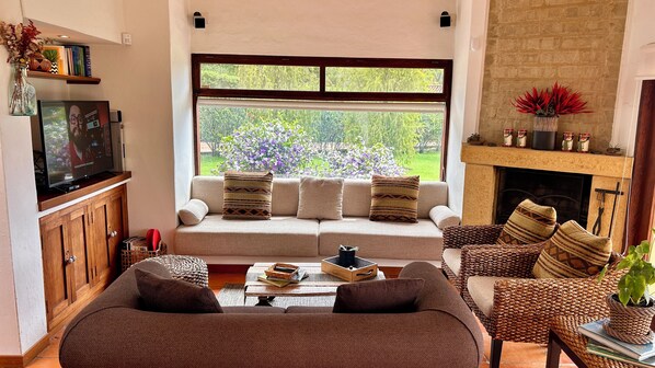 Smart TV, fireplace