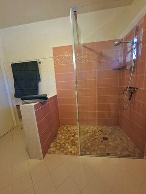 Shower, hair dryer, towels, toilet paper