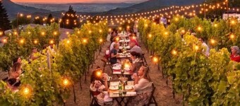 Wine & Ginger - Villa Luxury x8