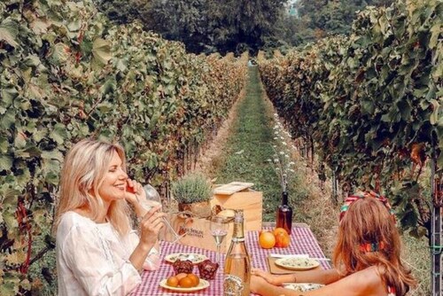 Wine & Ginger - Luxury Villa x8