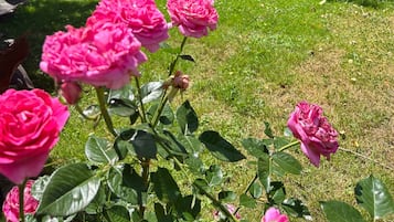 Overnatningsstedets område