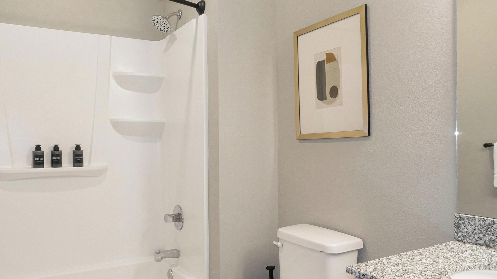 A bathroom with a shower, toilet, and a framed picture on the wall.