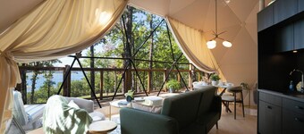 Falling Stars at Bull Shoals Lake