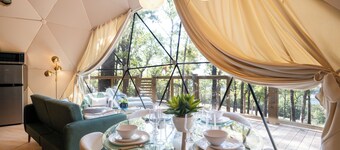 Falling Stars at Bull Shoals Lake