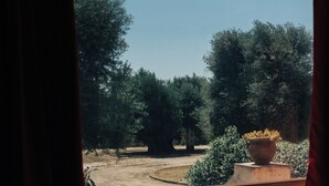 Apartment, 1 Queen Bed with Sofa bed, Pool Access, Hill View | View from room - Tenuta Fascianello (Fasano)