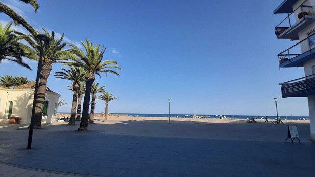 A beachfront promenade with palm trees, a clear sky, and a view of the sea.