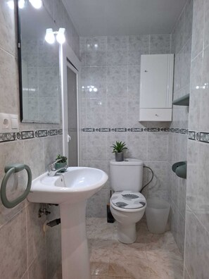 Shower, towels, toilet paper