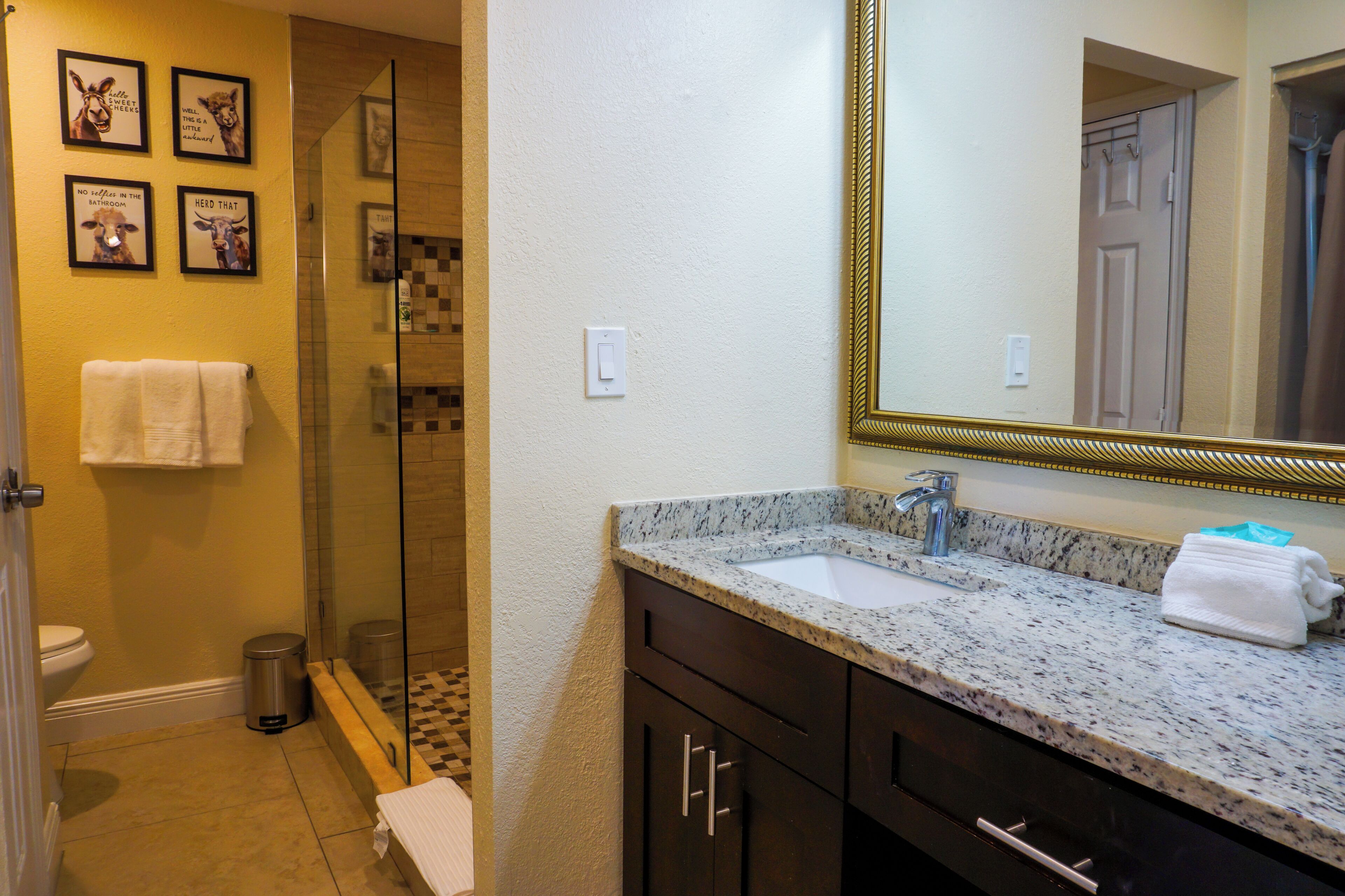Hair dryer, towels, soap, shampoo