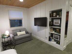 Smart TV, caminetto, videoteca, monitor per computer