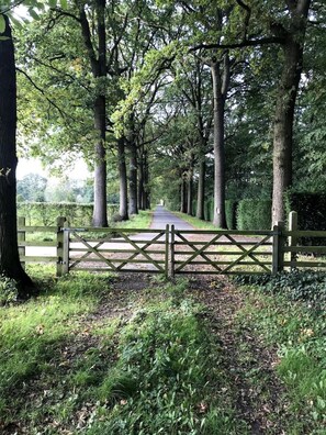 Terrein van de accommodatie