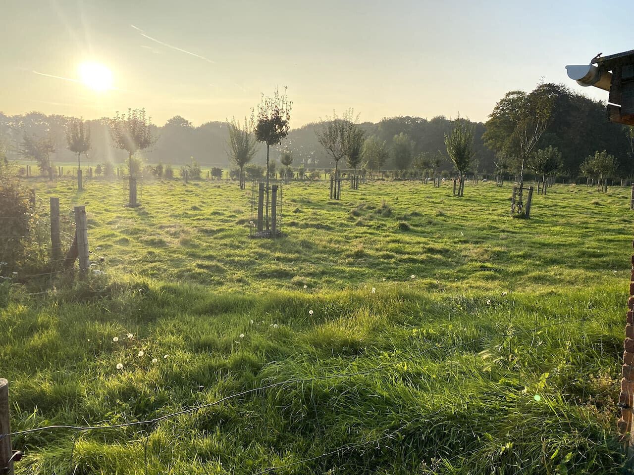Enceinte de l’hébergement