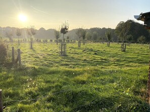 Property grounds - Cozy Authentieke schuur nabij Brugge (Beernem)