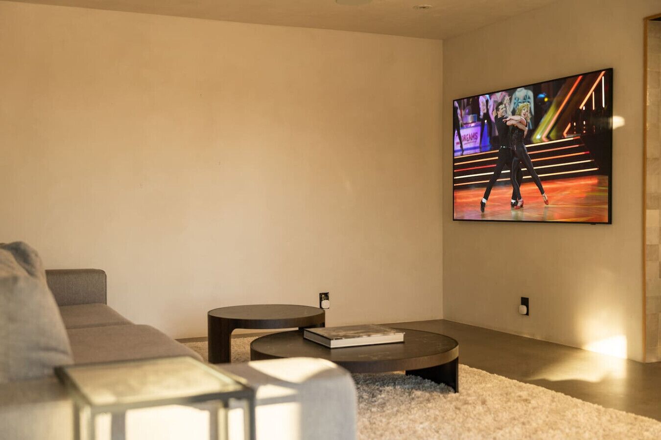 Smart TV, fireplace, books, stereo