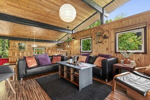 Télévision, lecteur de DVD, livres