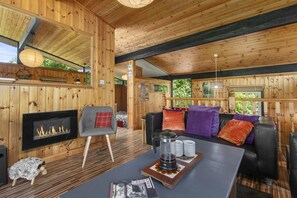 TV, DVD player, livros