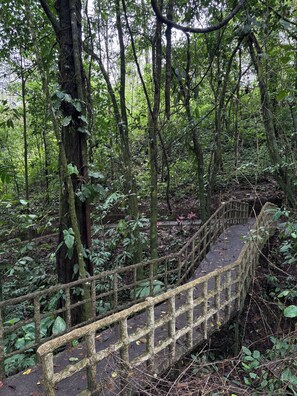 Wandelen