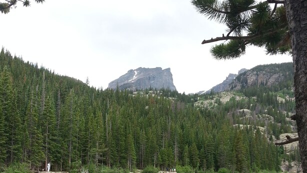 A serene lake surrounded by dense forest and rocky mountains.