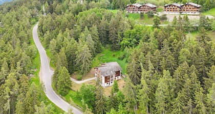 Chalet de l'Ours NATURE 4 Etages 52 pers