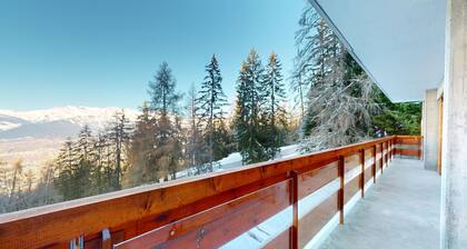 Chalet de l'Ours NATURE 4 Etages 52 pers