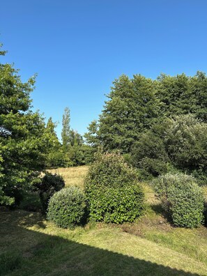Àrea exterior de l'allotjament