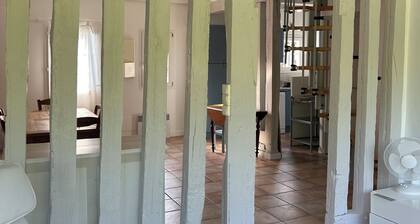 Traditional Landes house for rent