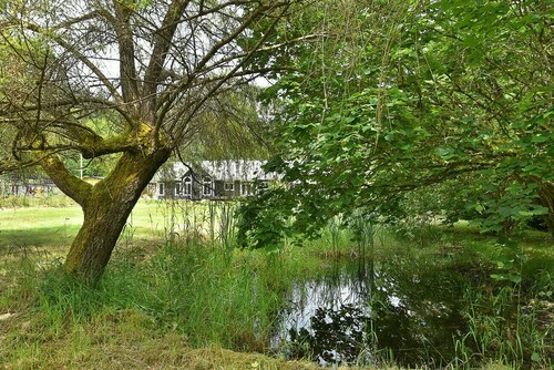 Coastal Hideaway Private Suite
