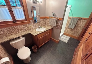 Shower, jetted tub, hair dryer, towels