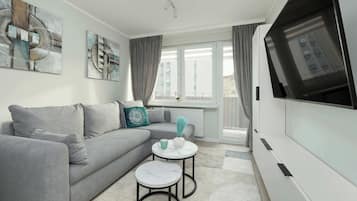 Fernseher, Arbeitsbereiche