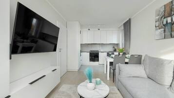 Fernseher, Arbeitsbereiche