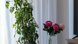 Una habitación con una planta en maceta sobre una mesa redonda, un jarrón con flores y un televisor en un soporte de madera.