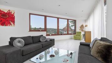 Fernseher, Arbeitsbereiche