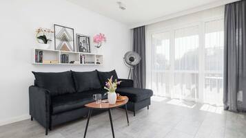 Fernseher, Arbeitsbereiche