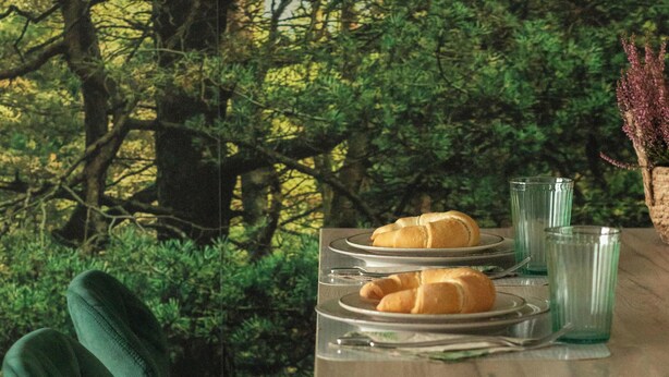 A dining table with plates of food and glasses, set against a backdrop of trees. - Spacious Apartment | Close to the Beach, Parking. (Mrzeżyno)