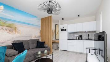 Fernseher, Arbeitsbereiche