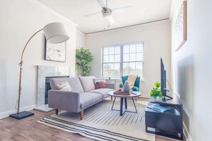 Télévision, cheminée, espaces bureaux